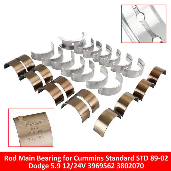 Rod Main Bearing 3969562 3802070 for Cummins Standard STD 89-02 Dodge 5.9 12/24V Generic